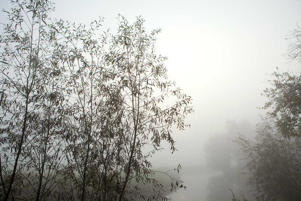 111002-055 | Europa, DEU, Deutschland, Nordrhein Westfalen, NRW, Rheinland, Niederrhein, Wachtendonk, Naturpark Schwalm-Nette, Flussaue ( Niers ), Morgenstimmung, Nebel bei Sonnenaufgang, Kategorien und Themen, Natur, Umwelt, Landschaft, Jahreszeiten, Stimmungen, Landschaftsfotografie, Landschaften, Landschaftsphoto, Landschaftsphotographie, Naturschutz, Naturschutzgebiete, Landschaftsschutz, Biotop, Biotope, Landschaftsschutzgebiete, Landschaftsschutzgebiet, Oekologie, Oekologisch, Typisch, Landschaftstypisch, Landschaftspflege

[Fuer die Nutzung gelten die jeweils gueltigen Allgemeinen Liefer-und Geschaeftsbedingungen. Nutzung nur gegen Verwendungsmeldung und Nachweis. Download der AGB unter http://www.image-box.com oder werden auf Anfrage zugesendet. Freigabe ist vorher erforderlich. Jede Nutzung des Fotos ist honorarpflichtig gemaess derzeit gueltiger MFM Liste - Kontakt, Uwe Schmid-Fotografie, Duisburg, Tel. (+49).2065.677997, archiv@image-box.com, www.image-box.com] - Realisiert mit Pictrs.com