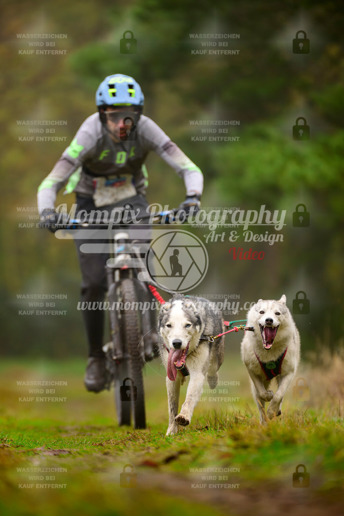 MompixPhotography_Bischwiller2025_Bike-113 | mompixphotography