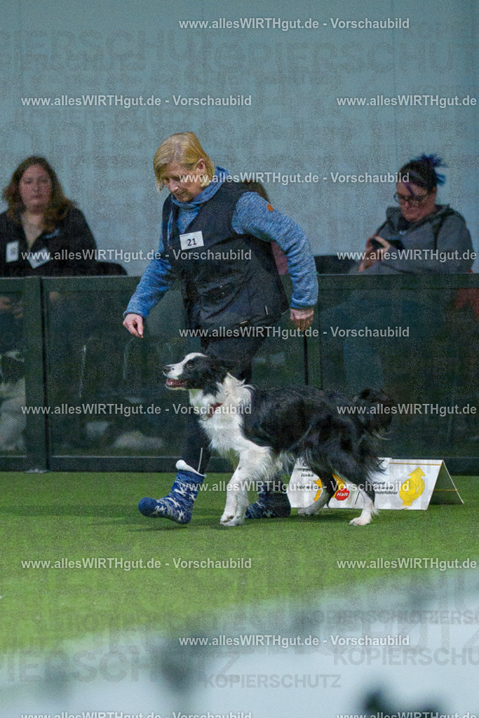 7R501001 | Professionelle Tierfotografie in Mönchengladbach von Daniel Wirth (allesWIRTHgut). Liebevolle & natürliche Bilder von Hunden & Katzen für unvergessliche Erinnerungen.