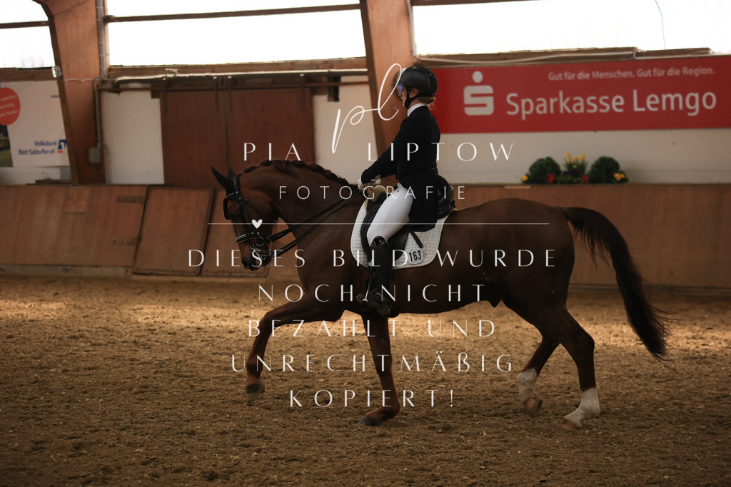 IMGT5061 | pl-fotografie