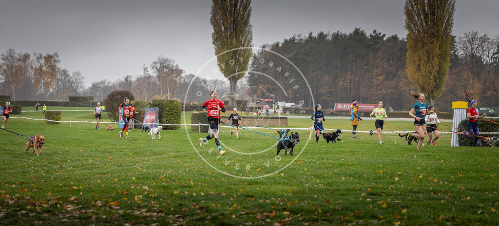 CaniXpix_DV3A8859 | Hundefotografie, Tierfotograf, Pfotenfotografie, Fotoshooting Hund, Hunde Portrait, Hundesport, Hundeportraits, Heideshooting, Hunde, Sportfotograf, Hundefotograf, Turnierhundsport, THS,  - Realisiert mit Pictrs.com