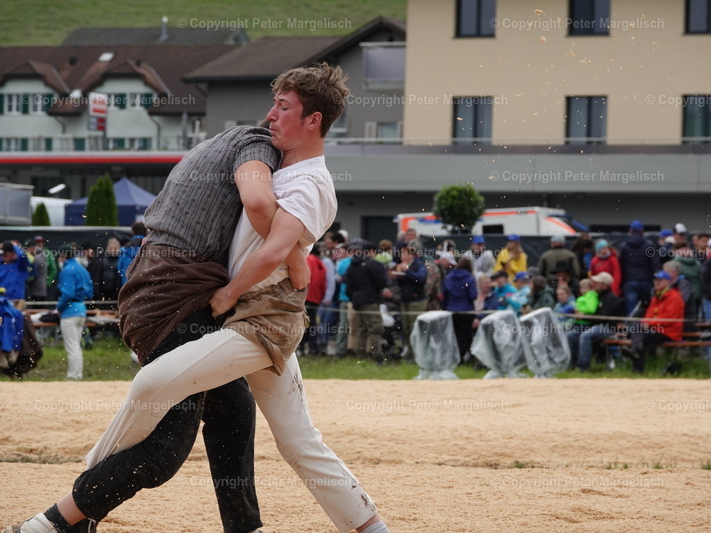 DSC07615 | Schwingen - Realisiert mit Pictrs.com