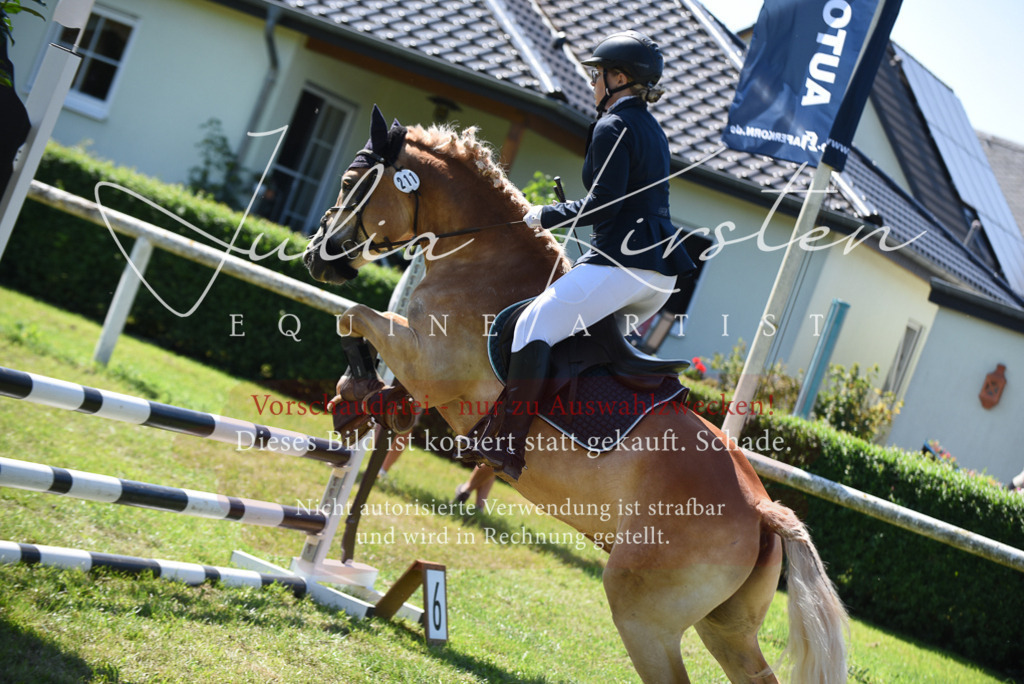 DSC_9512 | Pferde- und Turnierfotografie in Westsachsen. Pferdeportraits, Auftragszeichnungen und intuitive Kunst.