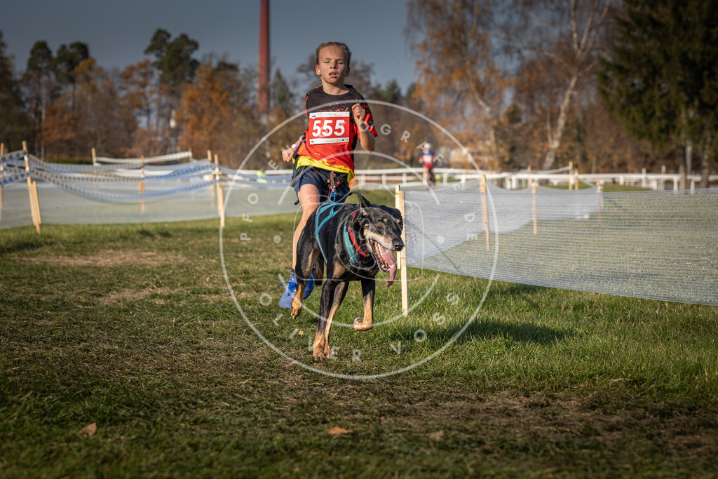 CaniXpix_0L8A9133 | Hundefotografie, Tierfotograf, Pfotenfotografie, Fotoshooting Hund, Hunde Portrait, Hundesport, Hundeportraits, Heideshooting, Hunde, Sportfotograf, Hundefotograf, Turnierhundsport, THS,  - Realisiert mit Pictrs.com