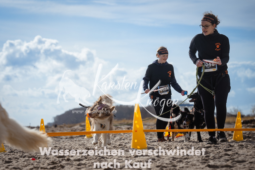 1318_ZZ91278 | kk-dogfotos