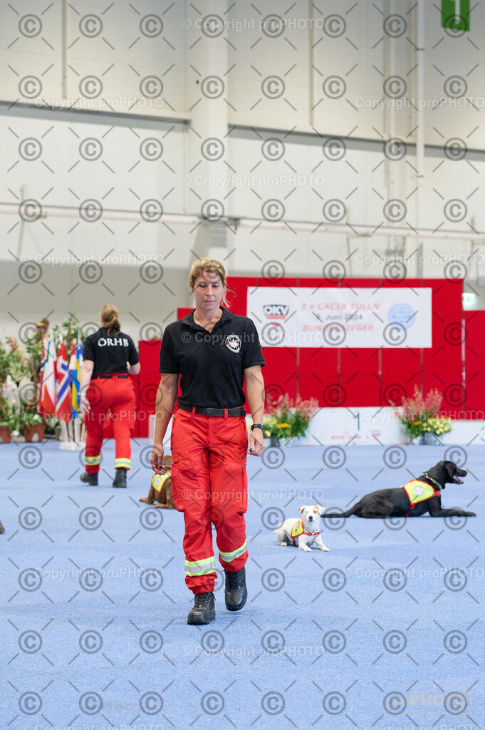 202406_ÖKV-IHA-Tulln24_DSC_4777 | proPHOTO - Realisiert mit Pictrs.com