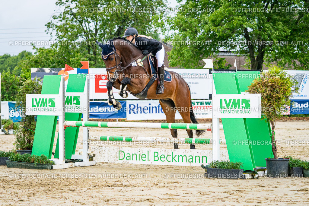 DSC02527 | Pferdegrafie