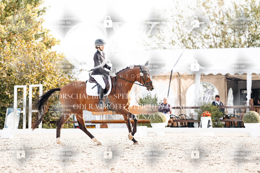 CK900936 | Turnierfotografie Pferdefotografie Trier Rheinland-Pfalz Pferdesport Reitsport Tierfotografie Sportfotografie Pferdevideo Pferdevideografie Equestrianvideography equestrianphotography  - Realisiert mit Pictrs.com