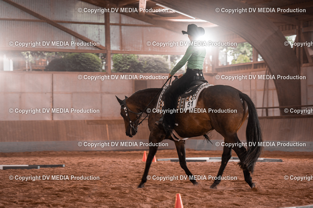 NE200169 | dv-media-shop - Realisiert mit Pictrs.com