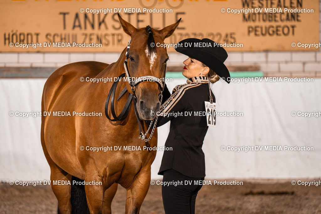 ZH100070 | dv-media-shop - Realisiert mit Pictrs.com