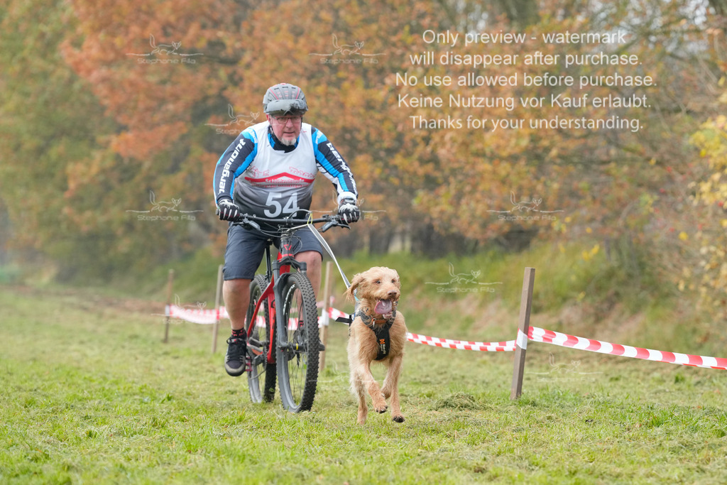 Visbeck_Sa_Bike-102 | stephaniefillaphotographie - Realisiert mit Pictrs.com