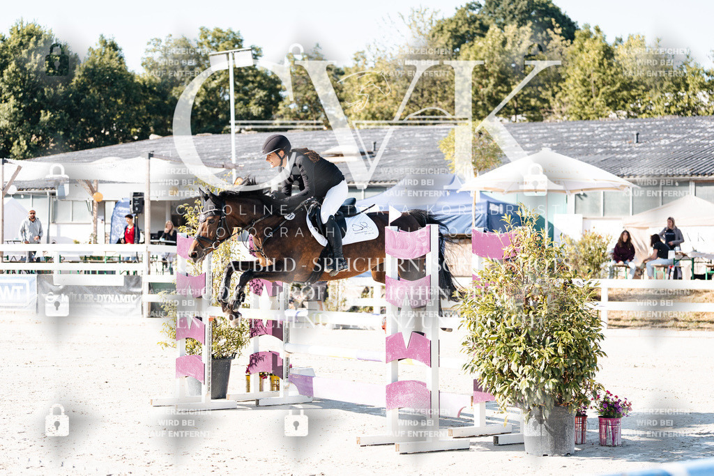 CK907432 | Turnierfotografie Pferdefotografie Trier Rheinland-Pfalz Pferdesport Reitsport Tierfotografie Sportfotografie Pferdevideo Pferdevideografie Equestrianvideography equestrianphotography  - Realisiert mit Pictrs.com