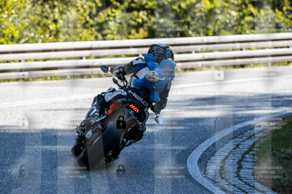 IMG_3705 | jrph - Realisiert mit Pictrs.com