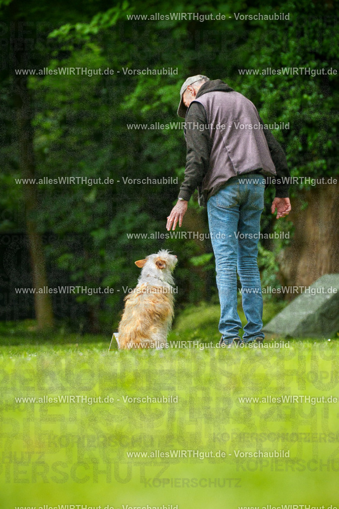 @allesWIRTHgut_Tierfotografie - www.allesWIRTHgut.de - 7R501297 | Professionelle Tierfotografie in Mönchengladbach von Daniel Wirth (allesWIRTHgut). Liebevolle & natürliche Bilder von Hunden & Katzen für unvergessliche Erinnerungen.