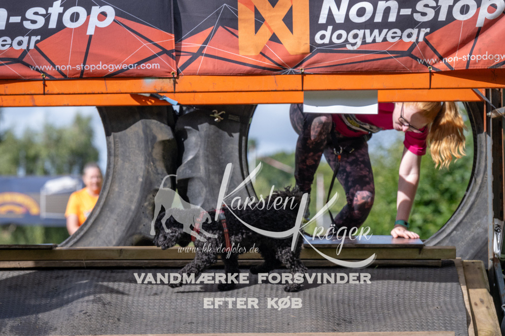 1540_ZZ93697 | kk-dogfotos