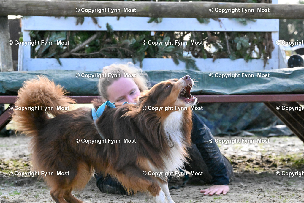 DSC_3493 | Hallo und herzlich Willkommen auf meiner Shop-Seite Fynn Most.

Ich wünsche Dir viel Spaß beim stöbern durch die Bilder, wenn Du Fragen hast oder Bilder vermisst, kannst du mir gerne eine Nachricht schreiben. - Realisiert mit Pictrs.com