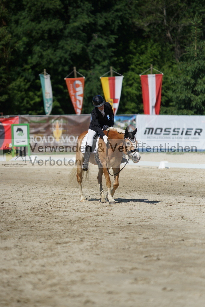 DSC03020 | equestrian-live-com