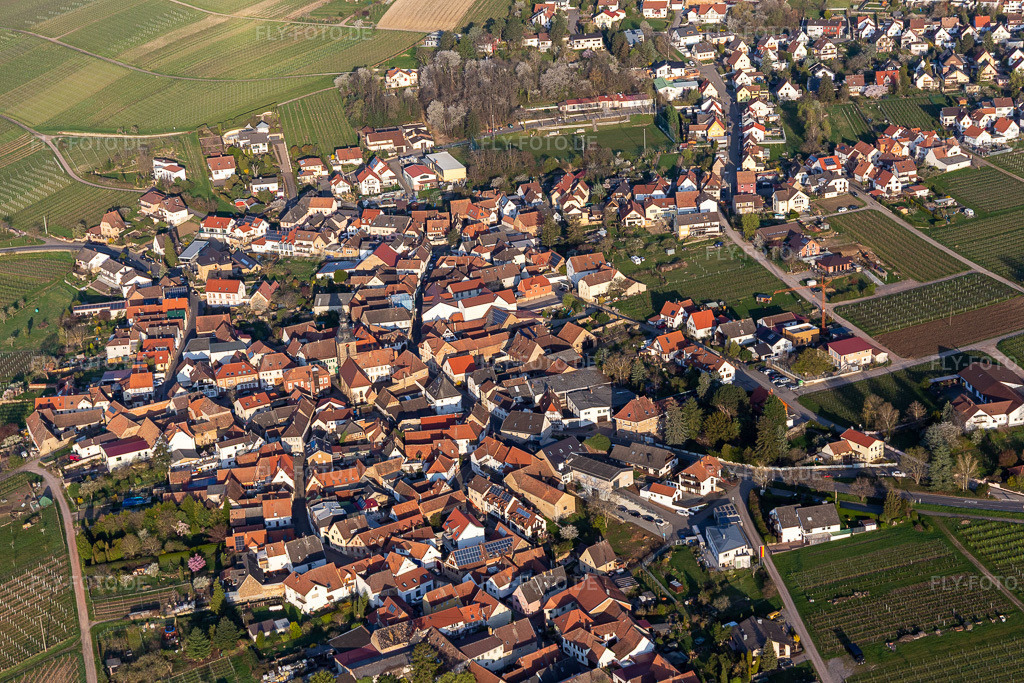 Luftbild: Dorfansicht in Frankweiler im Bundesland Rheinland-Pfalz in Deutschland. Foto: IMG_126283.jpg vom 04.04.2021 durch Werner Riehm/FLY-FOTO.de
