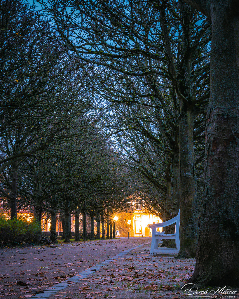Der Biebricher Schlosspark Wiesbaden | Der Biebricher Schlosspark Wiesbaden
