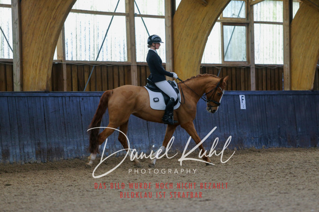IMG_0460 | Turniersportfotografie; Pferdefotografie; Dressurfotografie