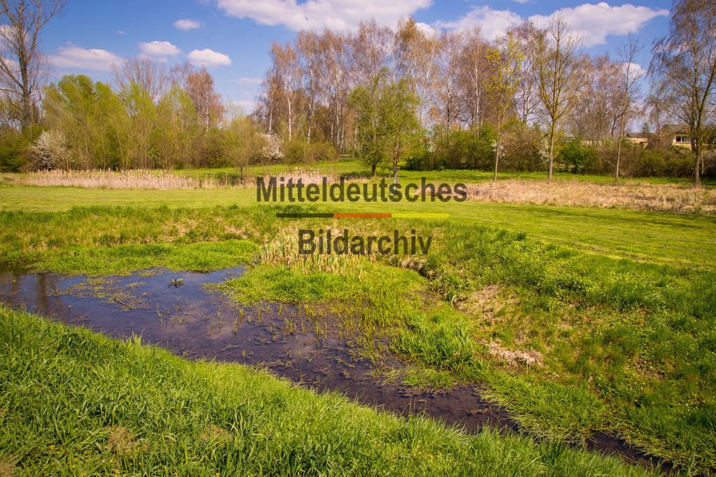 Eichenbarleben-2687 | Park Eichenbarleben - Realisiert mit Pictrs.com