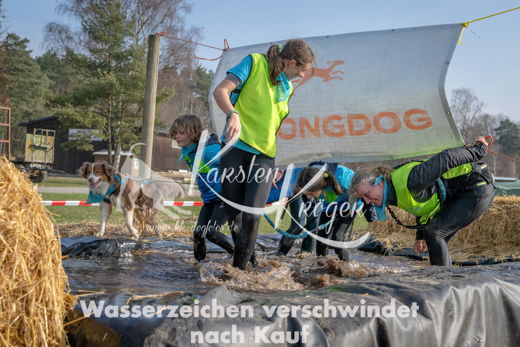 _ZZ91074 | kk-dogfotos