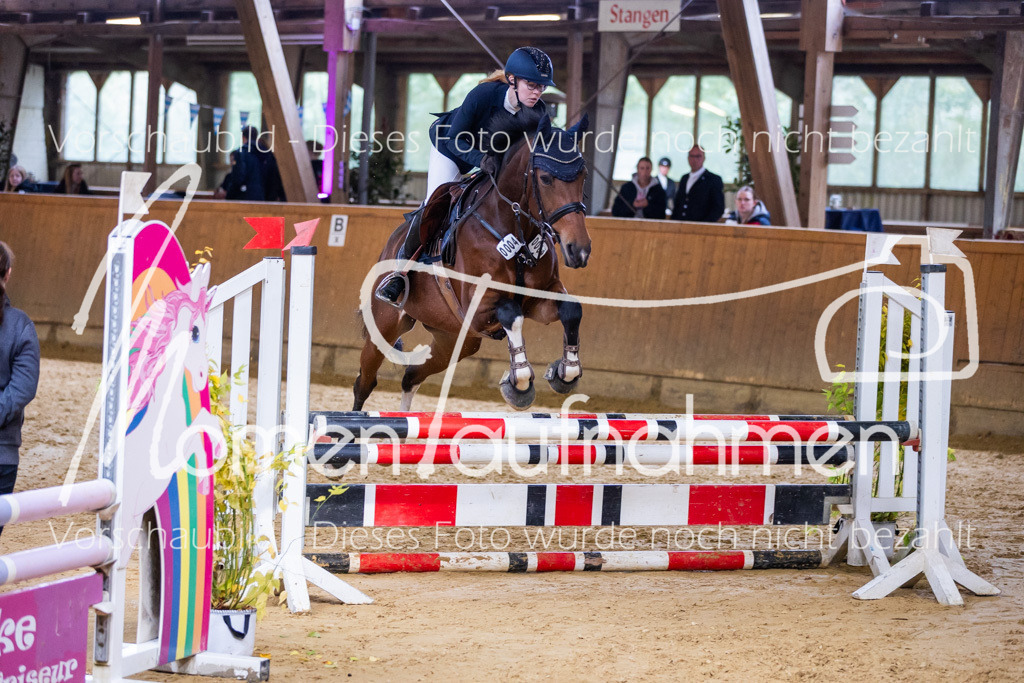 Sth-A-Springen-071 | MomenTaufnahmen Pferdesportfotos