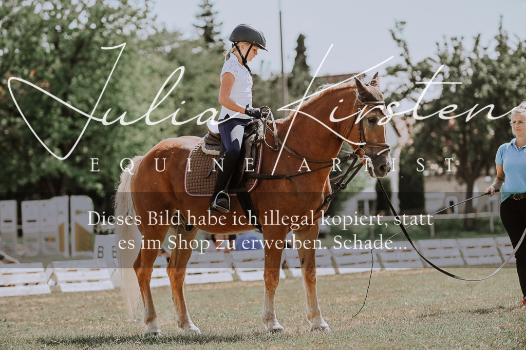 DSC_7793 | Pferde- und Turnierfotografie in Westsachsen. Pferdeportraits, Auftragszeichnungen und intuitive Kunst.
