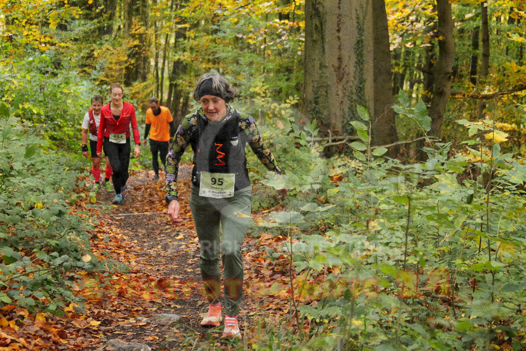 251026_1251_EV4_5959 | Sportfotografie im Rhein-Sieg Kreis, Köln, Bonn, NRW, Rheinland Pfalz, Hessen, etc. Unser Tätigkeitsfeld umfasst den Laufsport vom Volkslauf über den Marathon, Duathlon, Triathon bis zum Ultralauf wie Kölnpfad Ultra oder Schindertrail.