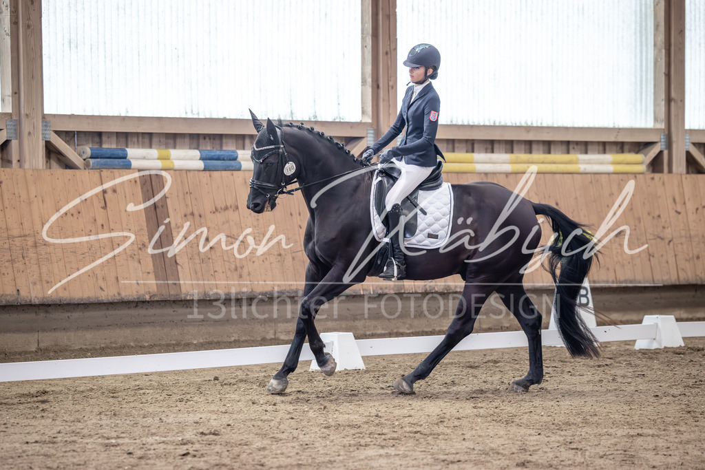 20251011-_3LI9573 | Tierfotografie Pferde, Hunde, Katzen, Haustiere.
Turnierfotografie Reitturniere, Reiten, Springreiten, Dressur in Hanau, dem Main-Kinzig-Kreis und dem Rhein-Main- Gebiet um Frankfurt
