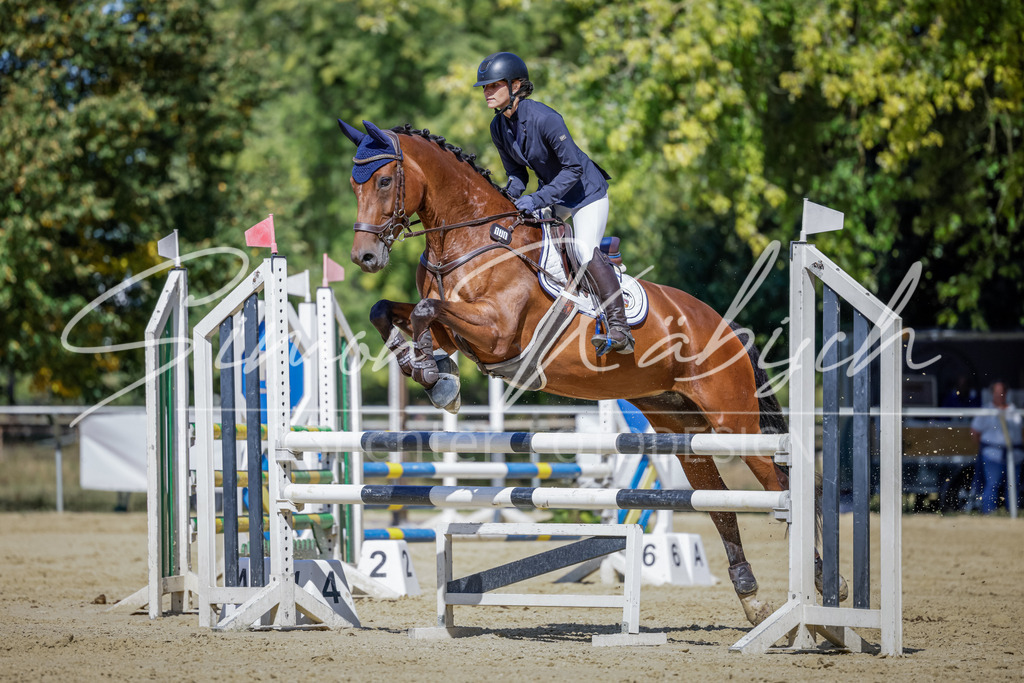 20250906-_3LI4062 | Tierfotografie Pferde, Hunde, Katzen, Haustiere.
Turnierfotografie Reitturniere, Reiten, Springreiten, Dressur in Hanau, dem Main-Kinzig-Kreis und dem Rhein-Main- Gebiet um Frankfurt