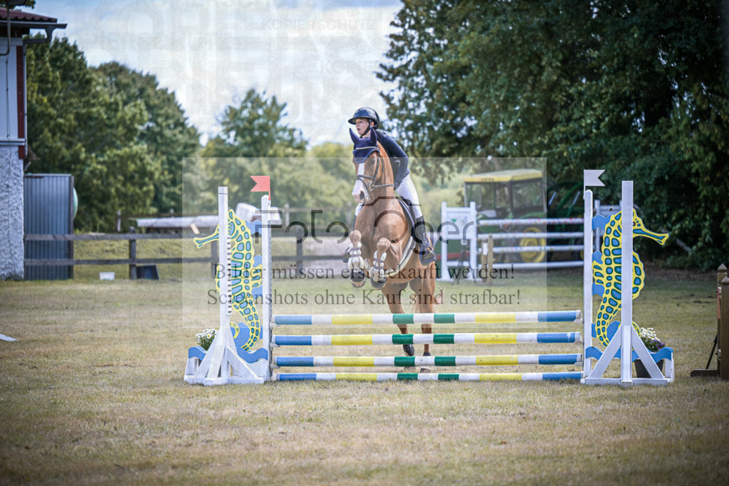DOS_0049 | Entdecke hochwertige Reitturnierfotos von Foto Oger. Professionell, emotional und authentisch – jetzt Lieblingsmomente im Shop bestellen.Deutschlandweite Turnierfotografie. - Realisiert mit Pictrs.com