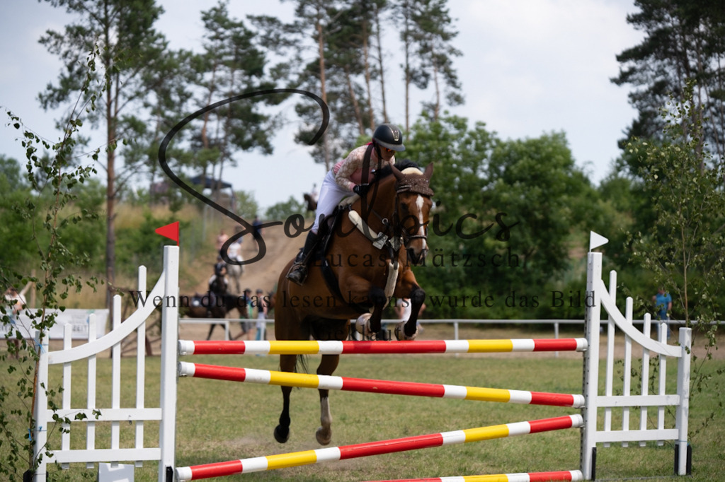 A7V07471 | Pferdefotograf