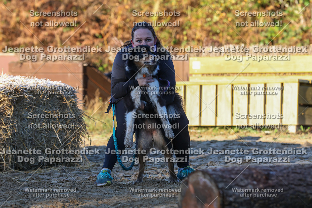 Dog Paparazzi - Strongdog 10-25-711 | Dog Paparazzi Jeanette Grottendiek Fotografie & Videografie - Realisiert mit Pictrs.com