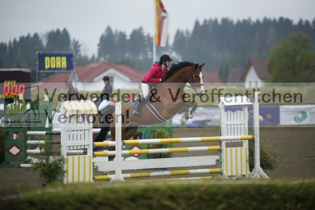 _DSC3716 | equestrian-live-com