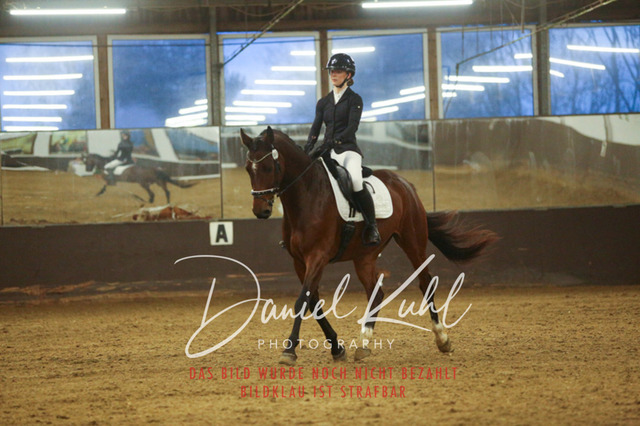 IMG_8358 | Turniersportfotografie; Pferdefotografie; Dressurfotografie
