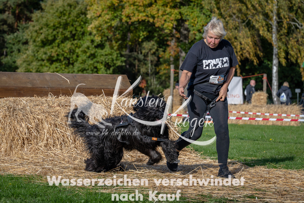 1042_ZZ91305 | kk-dogfotos