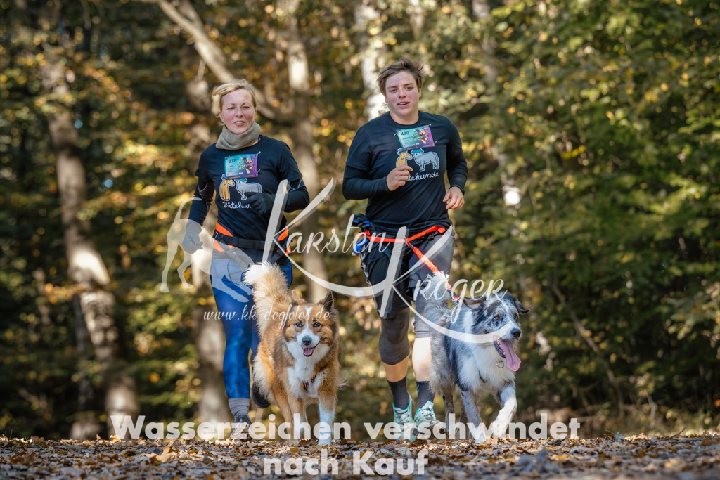 1129_ZZ92566-Bearbeitet-4 | kk-dogfotos