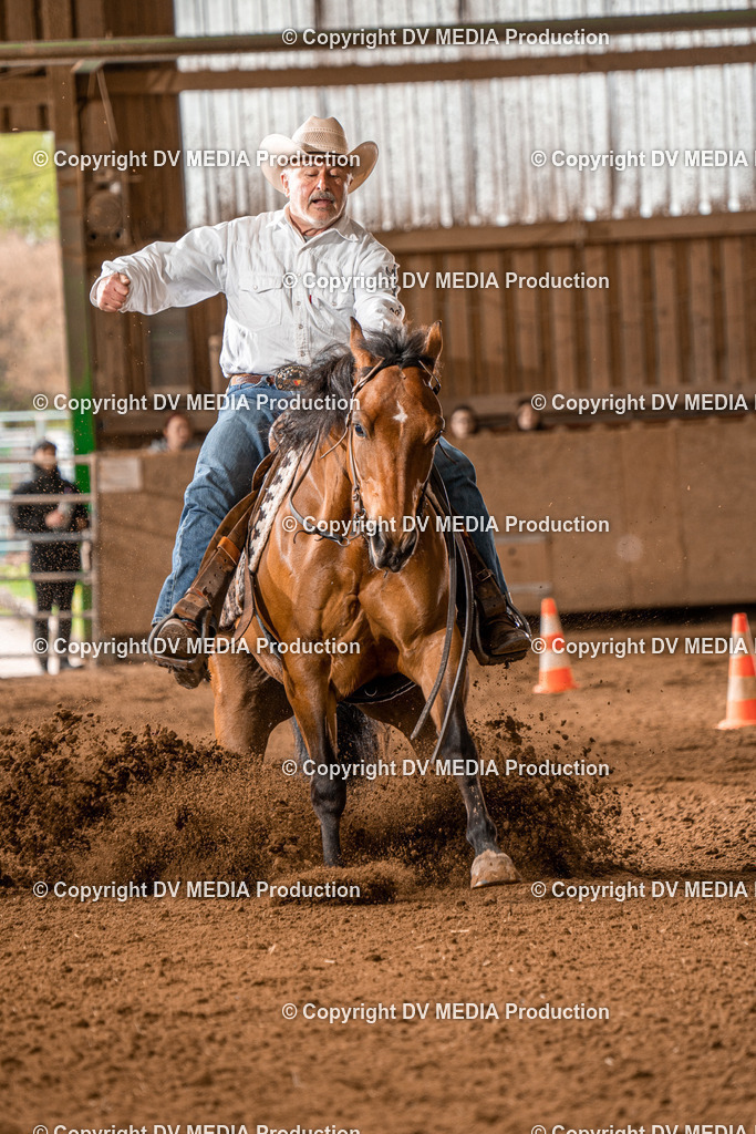 BAL00584 | dv-media-shop - Realisiert mit Pictrs.com