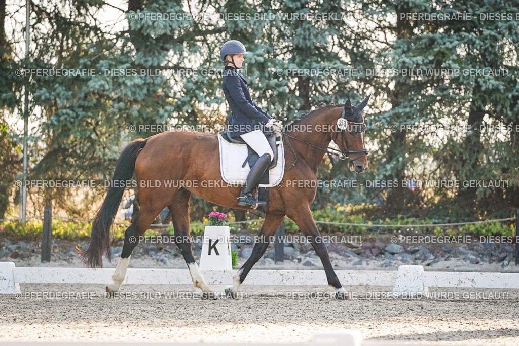 DSC07837 | Pferdegrafie