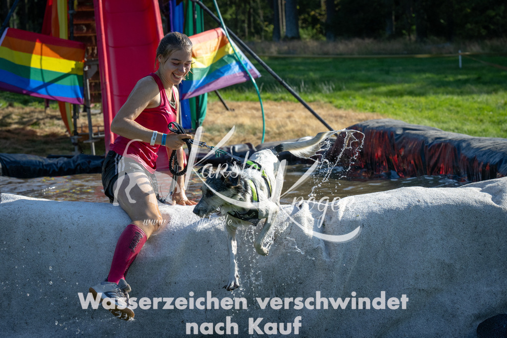 1701_ZZ92795 | kk-dogfotos