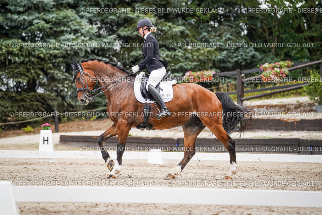 DSC04234 | Pferdegrafie