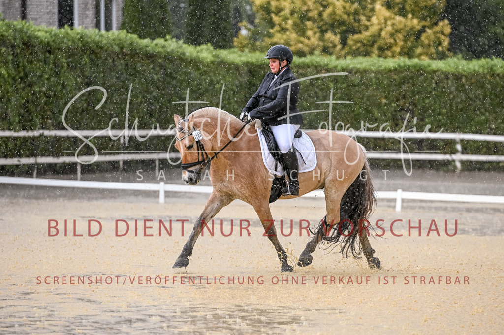 Schugtsche-Aluta25-54.Dressurprf.L1Trense-88 | Schugtsche Fotografie - Realisiert mit Pictrs.com