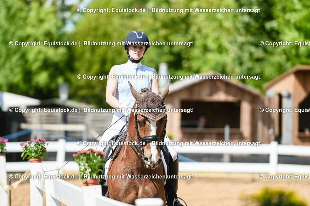 20230716_01_Dressurprüfung Kl.M_0244 | equistock