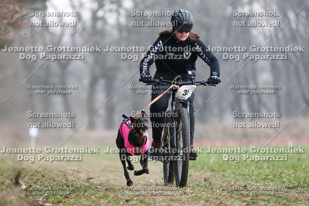 Dog Paparazzi - Plate 2026-113 | Dog Paparazzi Jeanette Grottendiek Fotografie & Videografie - Realisiert mit Pictrs.com