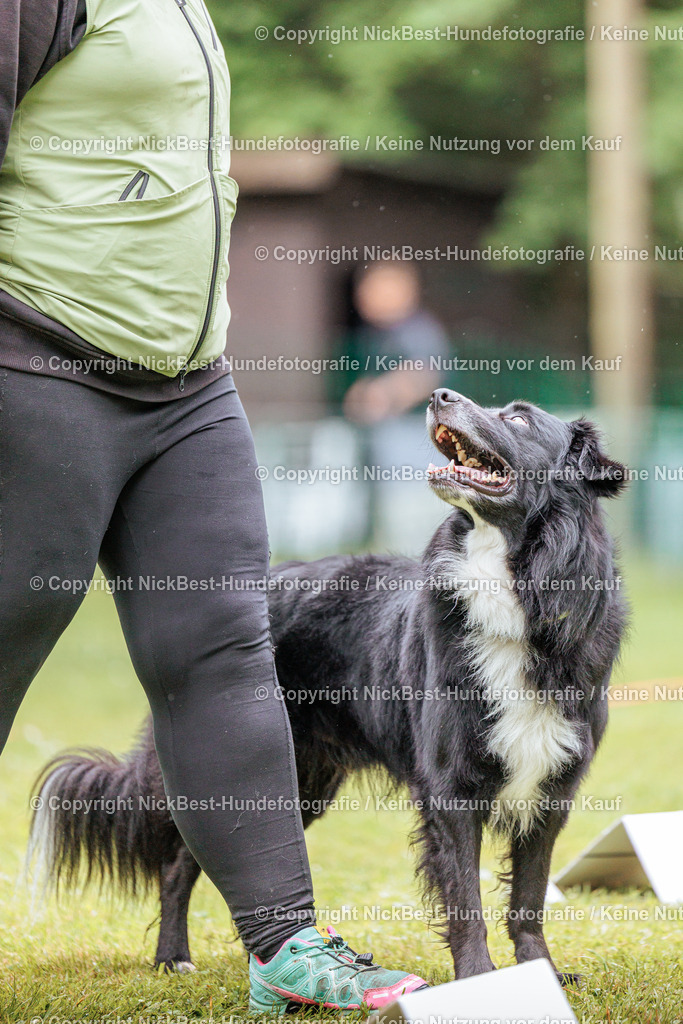 RO-Blumenthal-2026-Nickbest-Hundefotografie-3913 | Dein Hund! Dein Moment! Deine Erinnerungen! Hundefotografie in Bremen Blumenthal. Ich fange die besonderen Momente deines Vierbeiners ein – ob Indoor mit Blitzanlage oder in der freien Natur. Sicher dir dein Moment und dein Termin für eure Erinnerungen.