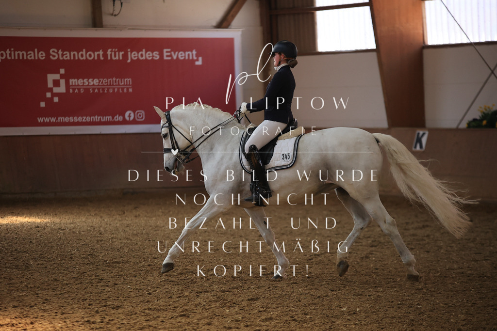 IMGT3657 | pl-fotografie