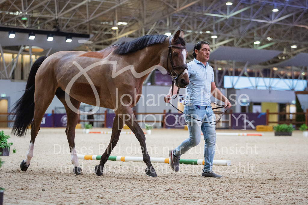 230215_Riyadh_Vet-Check-117 | Deine schönsten Turniermomente als professionelle Fotos! Entdecke hochwertige Pferdesport-Fotografie im Online-Shop. Jetzt Fotos finden & bestellen!