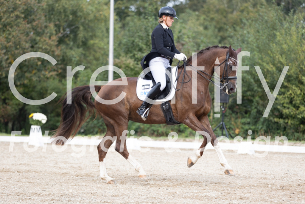 IMG_4713 | Creatify Fotografie