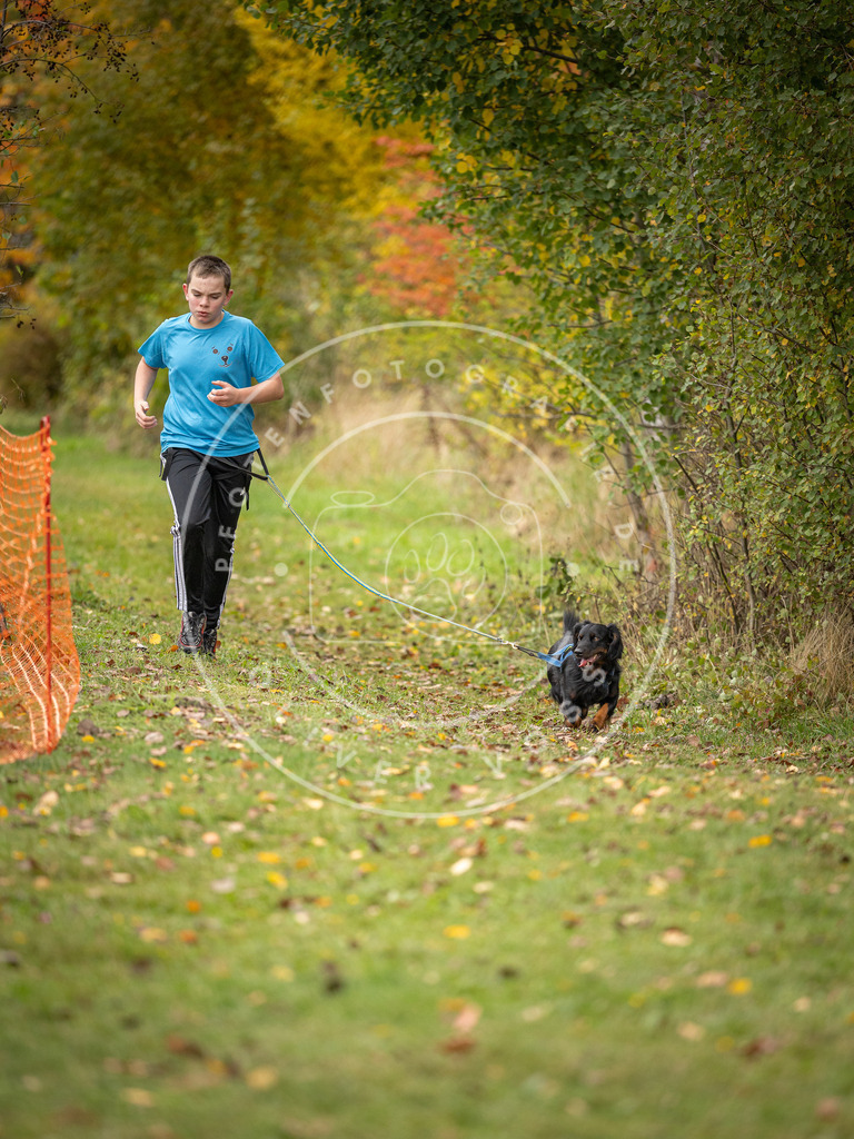 Pfotenfotografie_DV3A3595 | Hundefotografie, Tierfotograf, Pfotenfotografie, Fotoshooting Hund, Hunde Portrait, Hundesport, Hundeportraits, Heideshooting, Hunde, Sportfotograf, Hundefotograf, Turnierhundsport, THS,  - Realisiert mit Pictrs.com